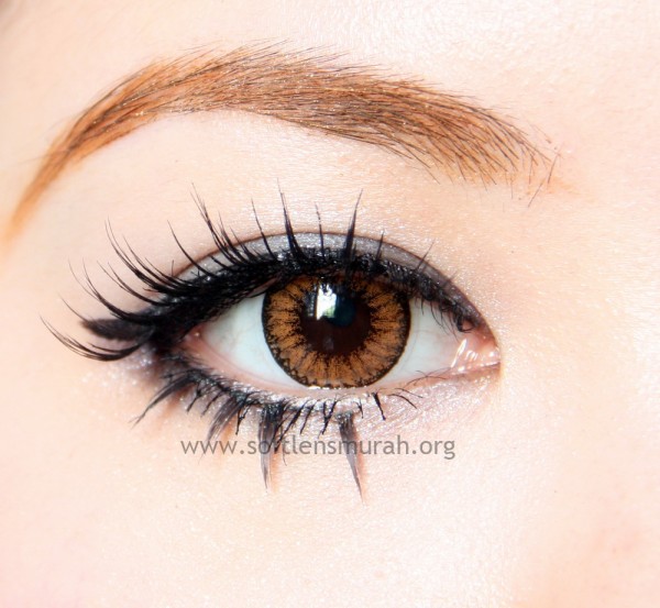 diva queen softlens brown