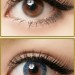 Softlens Geo Magic 3 tone 14.2mm