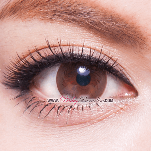 softlens geo magic circle choco brown