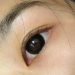 Softlens Geo Hyper Black (XCK-105) 14.5mm