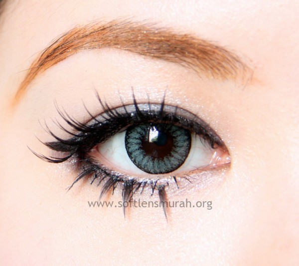 diva queen softlens grey