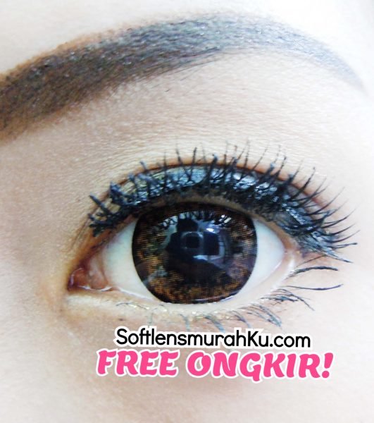 softlens aimu medusa brown