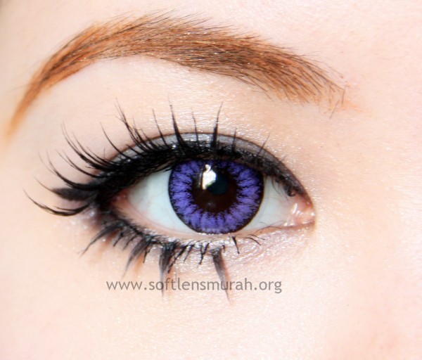 diva queen softlens violet