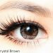 Softlens EOS Crystal 14.8mm