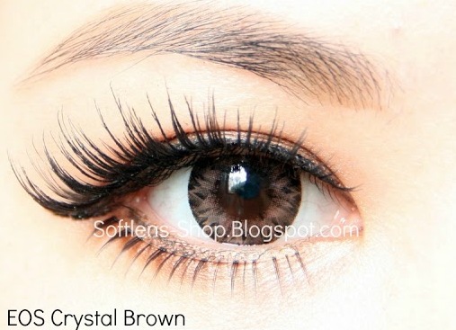 softlens eos crystal brown