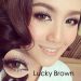 Softlens Coklat (Brown)