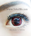 Softlens Red / Burgundy