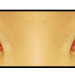 Softlens Kimchi Bambi 17.2mm