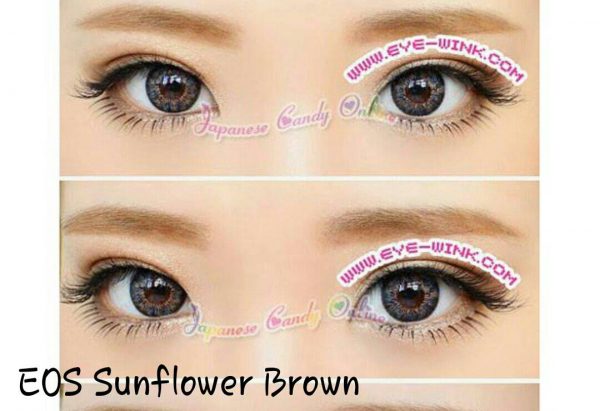 softlens eos sunflower brown