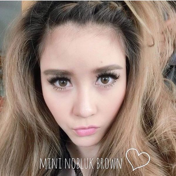 mini nobluk brown softlens