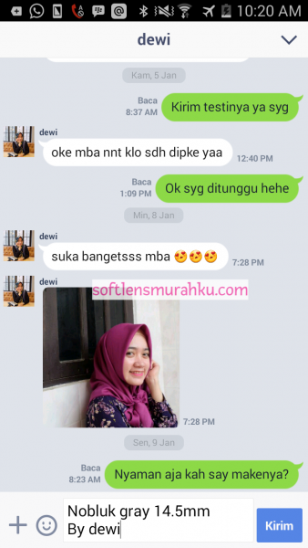 review nobluk grey sis dewi