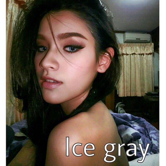 softlens dreamcolor ice gray