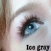 softlens dreamcolor ice gray
