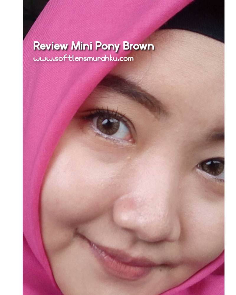 review mini pony brown