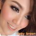 softlens dreamcolor lucky brown