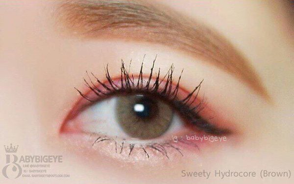 softlens sweety hydrocor brown