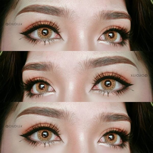 vampire twilight brown softlens