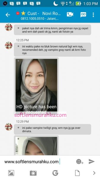 review vampire grey sis novi