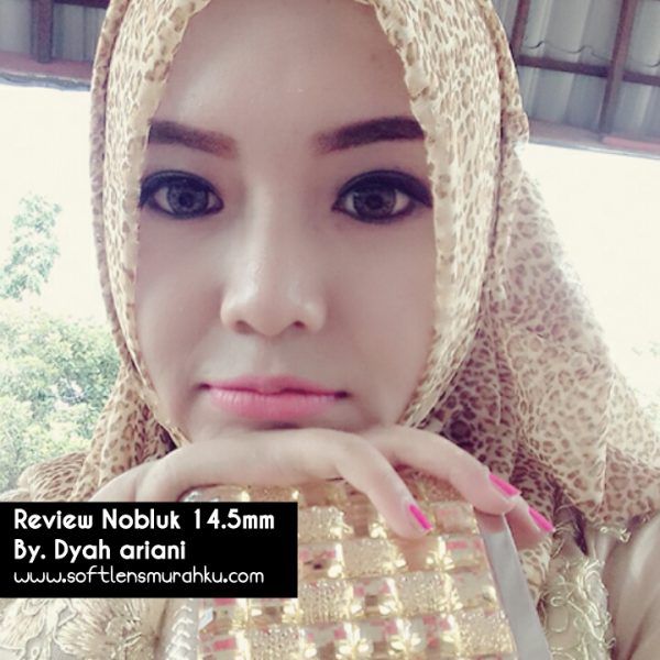 review nobluk sis dyah