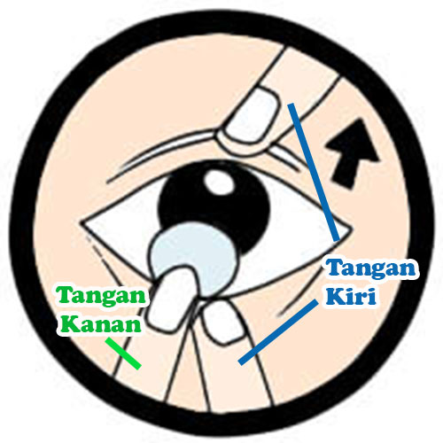 cara memakai softlens