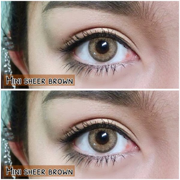 softlens mini sheer brown