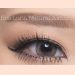 NEW Softlens EOS Luna Natural 14.5mm