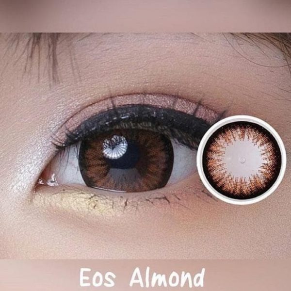 softlens eos almond brown