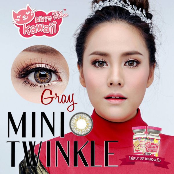 mini twinkle grey 1