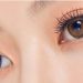 Softlens Princess Spanish Circle