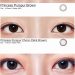 Softlens Purspur (Mata Plus, Rabun Dekat,Presbiopi ,Hipermetropia, Mata Tua)