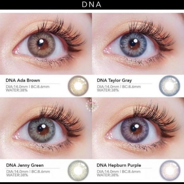 softlens bollycon dna