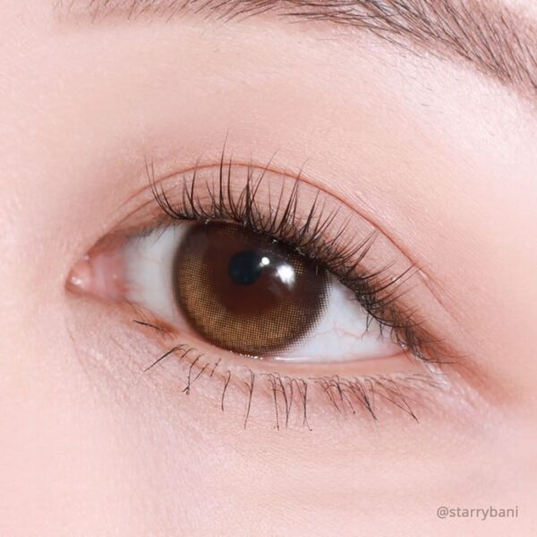 softlens natural eyelighter glowy brown