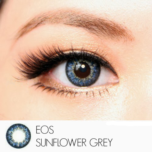 softlens eos sunflower grey