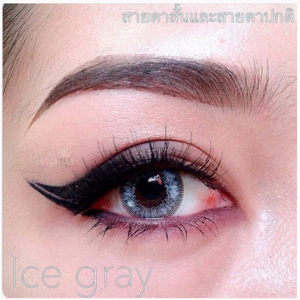 softlens dreamcolor ice gray