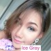 softlens dreamcolor ice gray