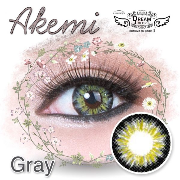 detail dreamcon akemi grey