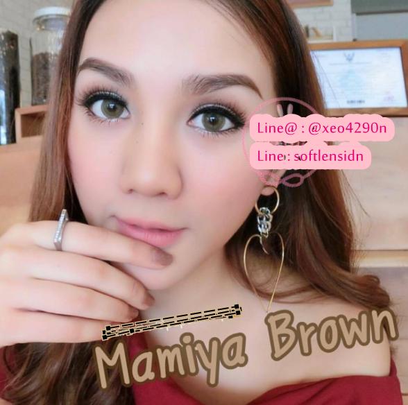 softlens mamiya brown