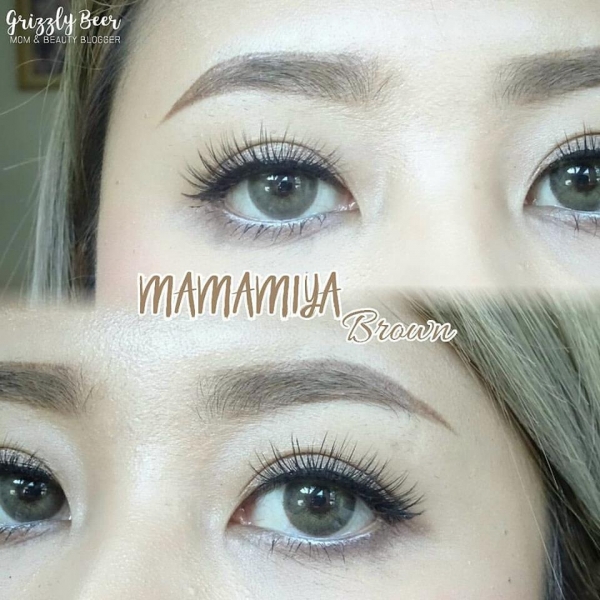 softlens mamiya brown dreamcolor