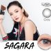 softlens dreamcolor1 sagara grey