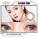 softlens dreamcolor sagara grey